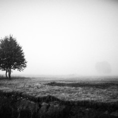 mgły #3