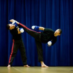 Oyama karate w akcji